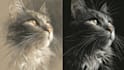 paint a portrait for your pet, any animal