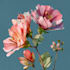 illustrate awesome botanical plants illustration