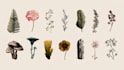 create beautiful hand drawn botanical boho logo