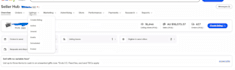 manage your ebay UK and australia dropshipping store for consistent sales