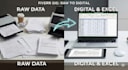 convert raw data into digital form and do all excel work