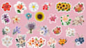 draw cute doodles, stickers illustrations