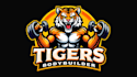 make different tiger body builder logo with express delivery