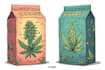 draw cartoon cannabis packaging design