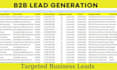 do targeted b2b lead generation and verified email list