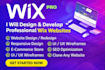 design wix website wireframes UI UX develop wix online stores SEO clone redesign