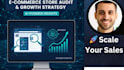 do ecommerce store audit and growth strategy