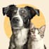 your pet into a cartoon portrait