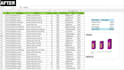clean, format and organize excel data professionally