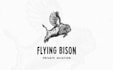 do moern wonderful exclusive wing logo