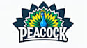design outstanding peacock bird logo with express delivery