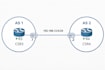 provide isp network design and routing with ospf, isis, bgp