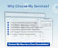 build a professional business website or e commerce store
