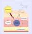 design scientific illustration for journal, article, paper