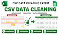 excel data cleaning, data cleanup and convert PDF to excel