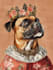 do a custom pet portrait, dog portrait, cat portrait