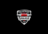 design a professional automotive logo
