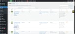 develope and clone wordpres website