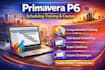 provide primavera p6 training and mentorship