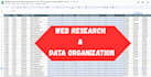 do data entry, web research, PDF to excel, typing, copy paste, excel data entry