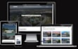 design or redesign wordpress website with elementor pro