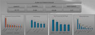 provide data analysis reports, dashboards, and KPI insights
