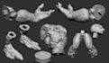design custom 3d character models for 3d printing in stl format 3d model