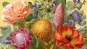 illustrate best botanical illustration