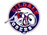 create modern baseball team logo design