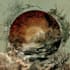 design album cover, cd label or cd cover