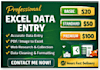 do professional excel data entry and data cleaning