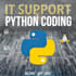 do custom coding and professional IT technical support