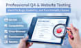 do professional website testing