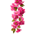 illustrate best botanical illustration