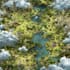 do fantasy map with parchment style for story