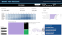 create a power bi dashboard that drives business decisions