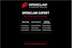 set up and install openclaw ai assistant ai agent