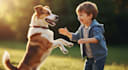 create ai talking animal videos for any occasion