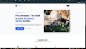 develop professional web application