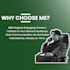 write engaging social media posts and articles