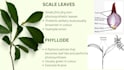 write agricultural and science content with research accuracy