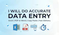 do accurate data entry and online task frofessionally