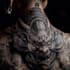 design a tattoo in japanese style