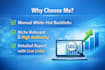 provide premium link building for seo agencies