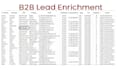 do accurate data enrichment, b2b lead enrichment and appending