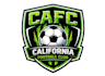 design a professional football logo