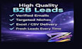 build verified business email leads
