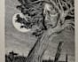 create artistic linocut illustration
