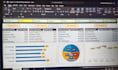do data cleaning, data formatting and excel work professionally