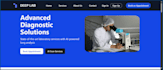 create your business website